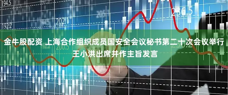 金牛股配资 上海合作组织成员国安全会议秘书第二十次会议举行 王小洪出席并作主旨发言
