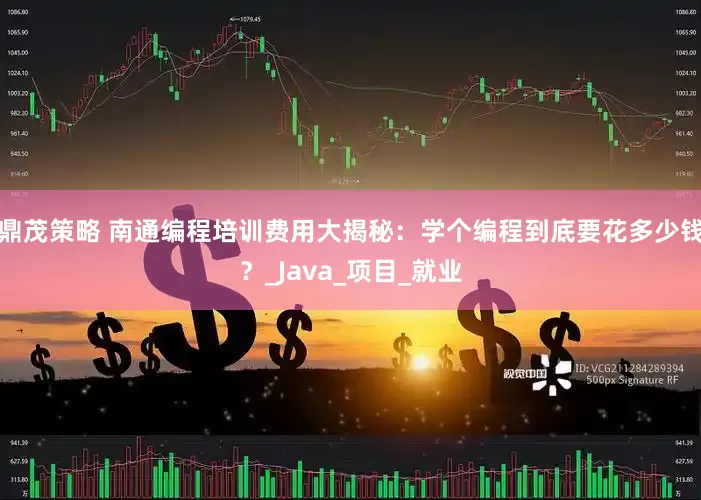 鼎茂策略 南通编程培训费用大揭秘：学个编程到底要花多少钱？_Java_项目_就业